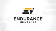Endurance Insurance Logo